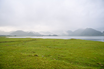 莆田系的含义