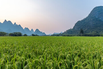 一般的教育部门认可的刊物都有什么？