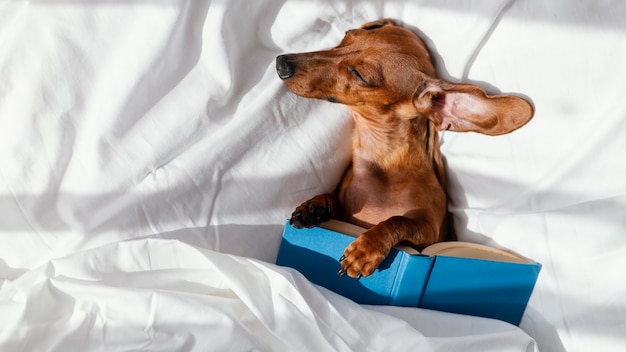 1～18岁年龄身高体重对照表