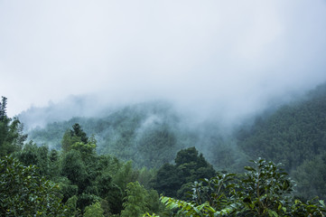 中考生物必背知识点